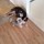 crissy_baker