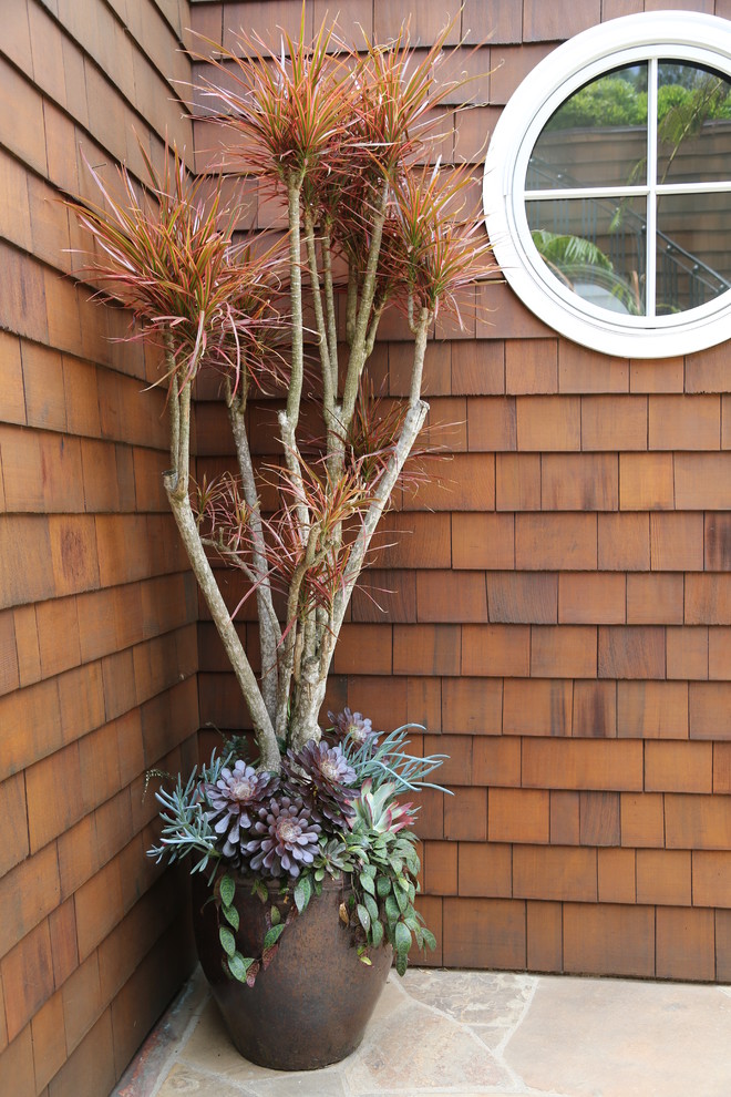 This is an example of a contemporary landscaping in San Diego.