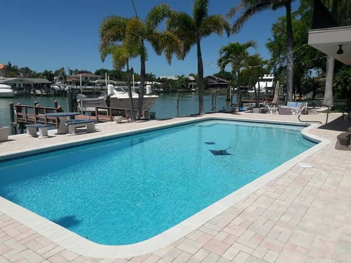 Modern swimming pool in Tampa.