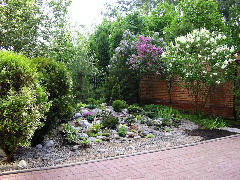 Наши работы