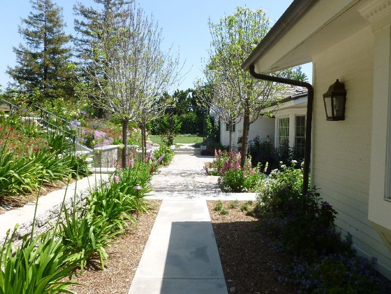 This is an example of a traditional garden in Orange County.