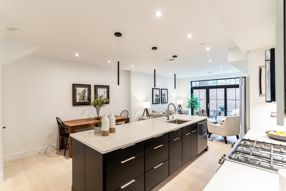 Southwest DC Duplex Renovation