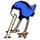 Blueostrich