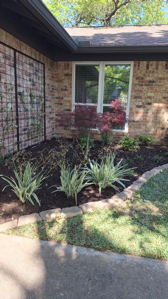 Plants and Planting