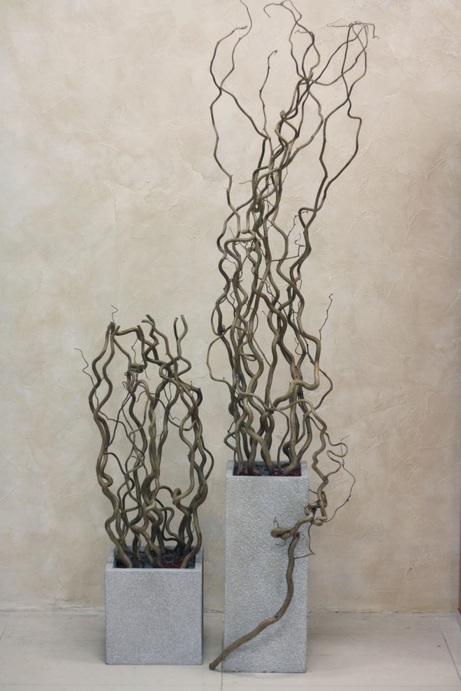 Ветки корилуса в каменных вазах