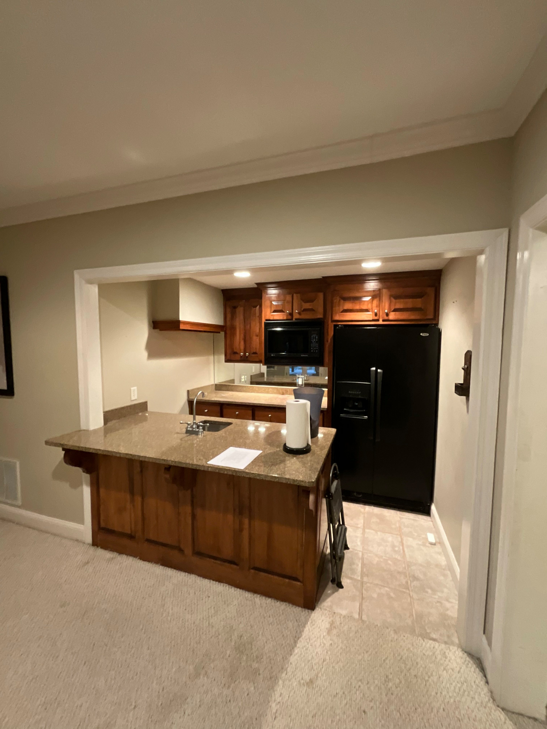 Basement at Johns Creek