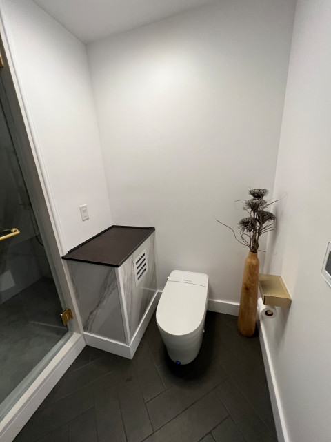 BASEMENT REMODELING modern-powder-room