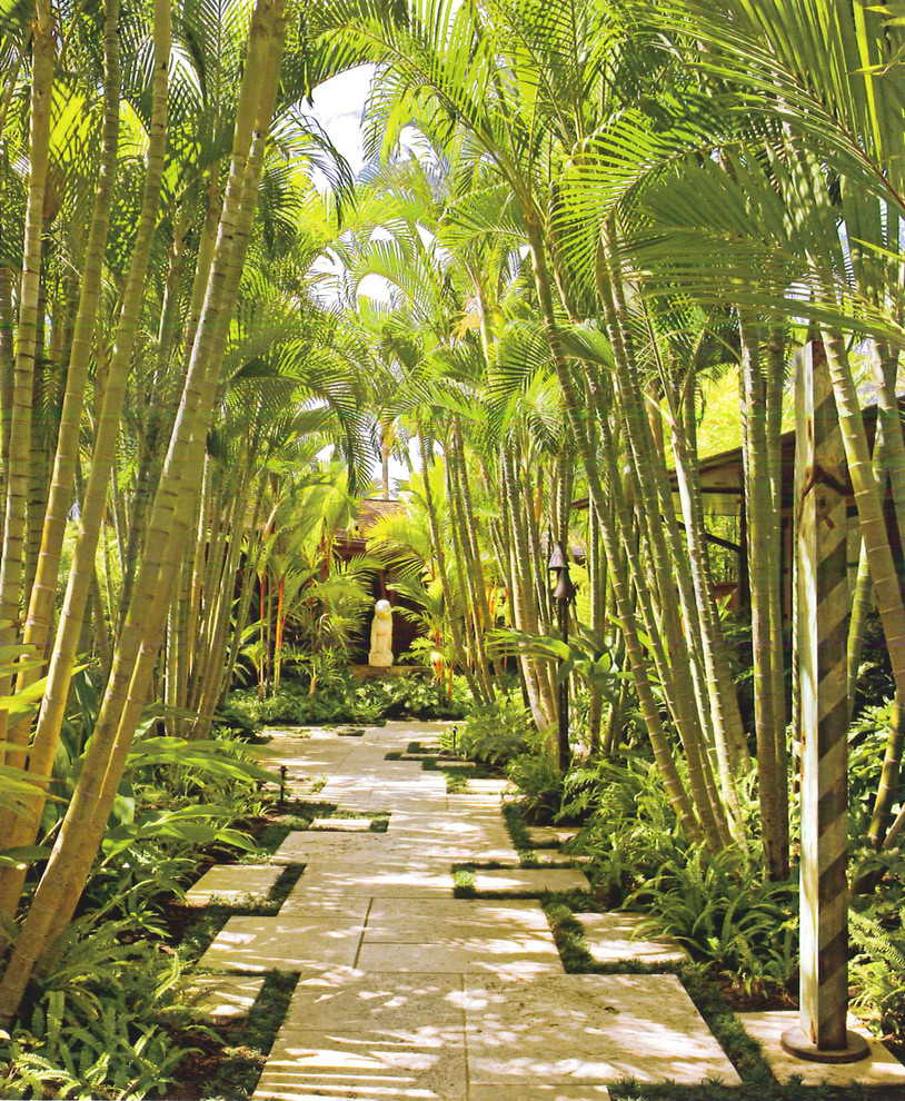 Inspiration for a tropical shaded garden in San Francisco.
