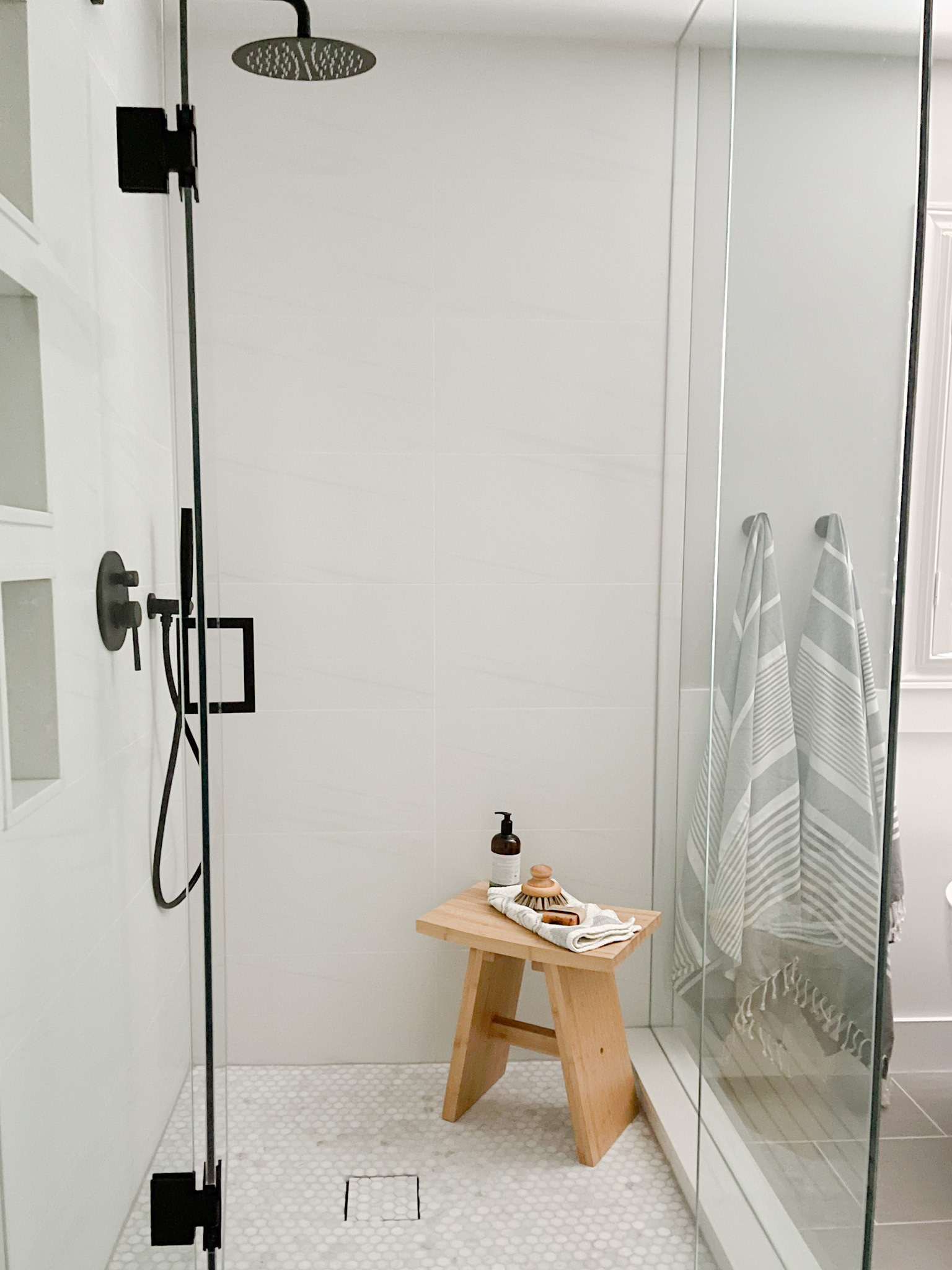 Project Virani- Master Bathroom Reno