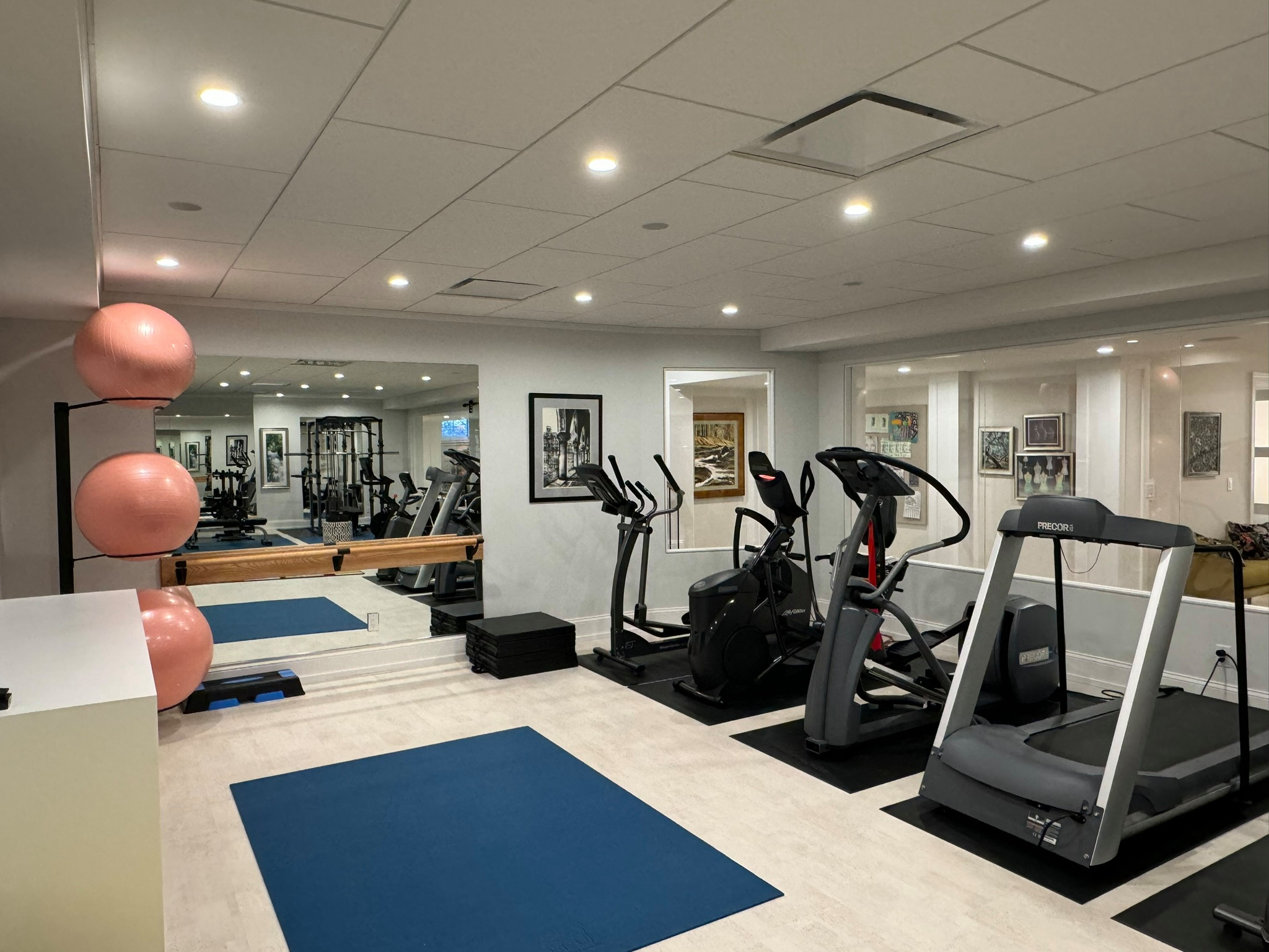 Dream Basement