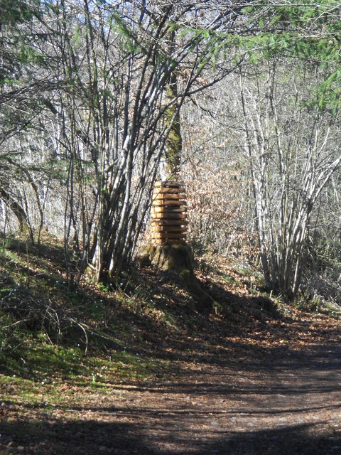 Grain de bois campagne-photographie