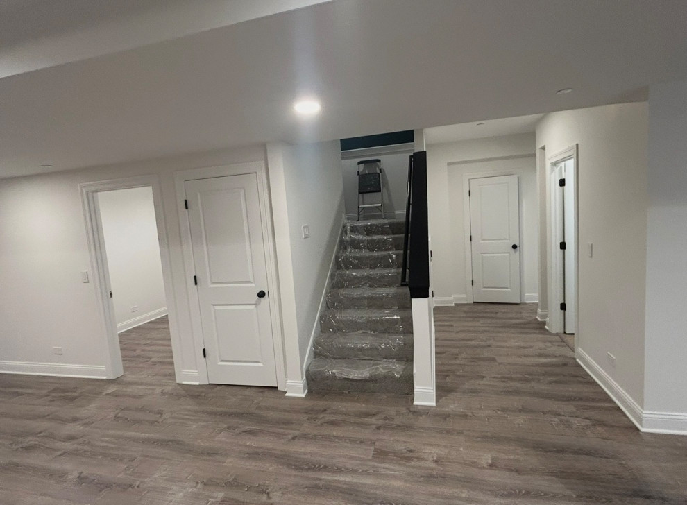 Basement Remodel