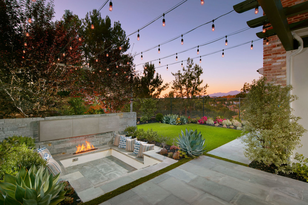 Contemporary Backyard