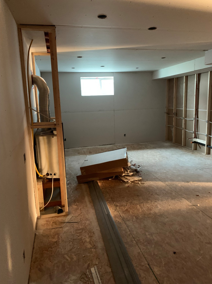 Basement Development