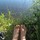sally_anlin