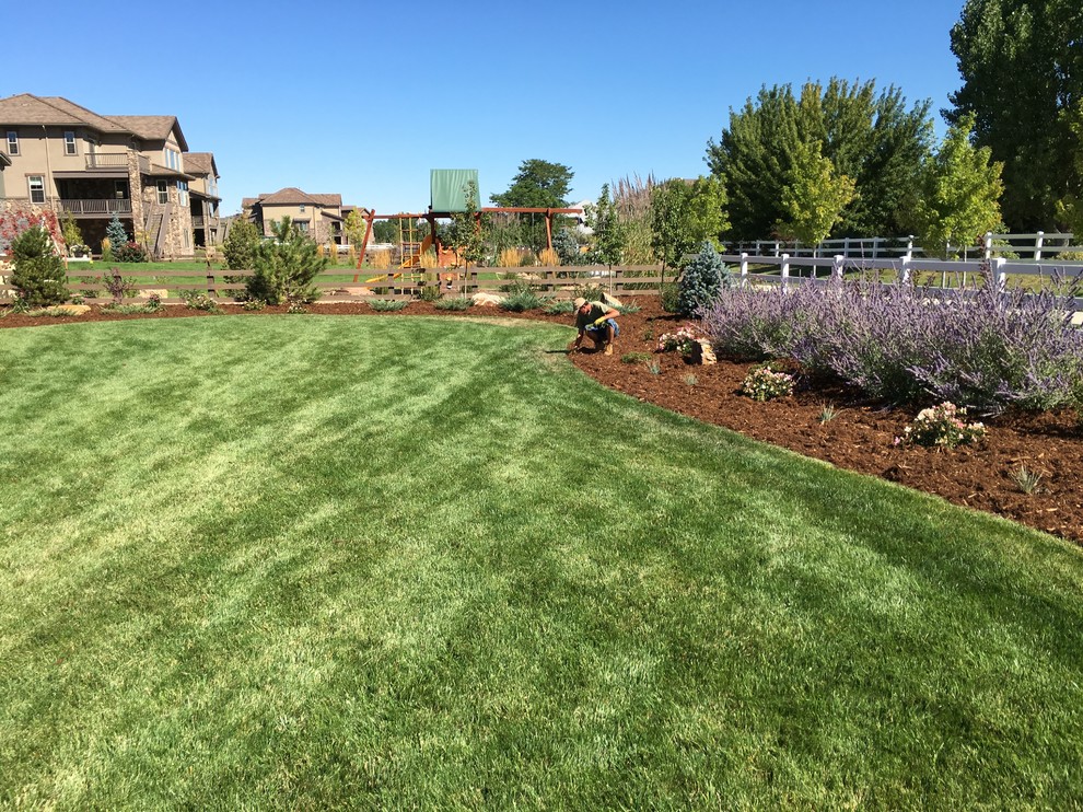 Photo of a large traditional backyard full sun xeriscape in Denver with mulch.
