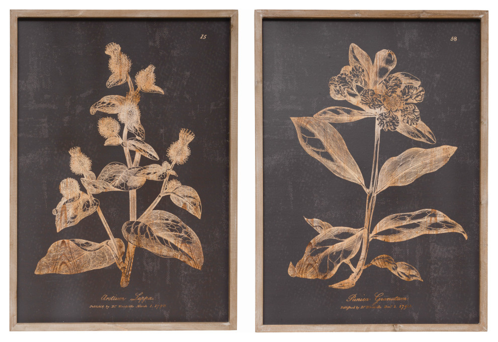 Wood Wall Decor With Botanical Print, 2-Piece Set