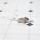 Animal Damage Control MN LLC