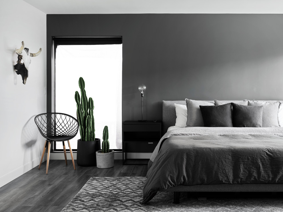 Design ideas for a contemporary bedroom in Phoenix with black walls, dark hardwood floors and black floor.