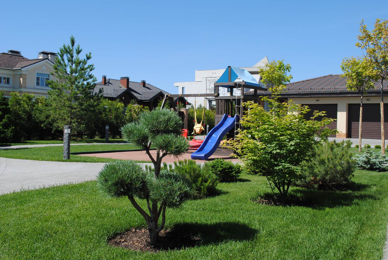 Сад с хвойными растениями