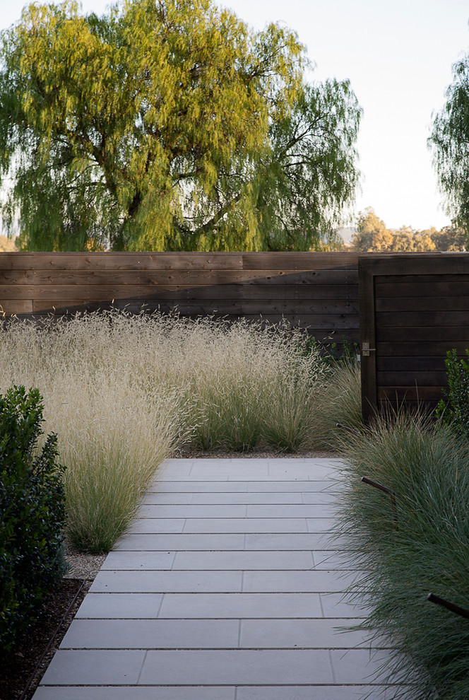 Inspiration for a large and australian native transitional garden in San Francisco with a garden path.