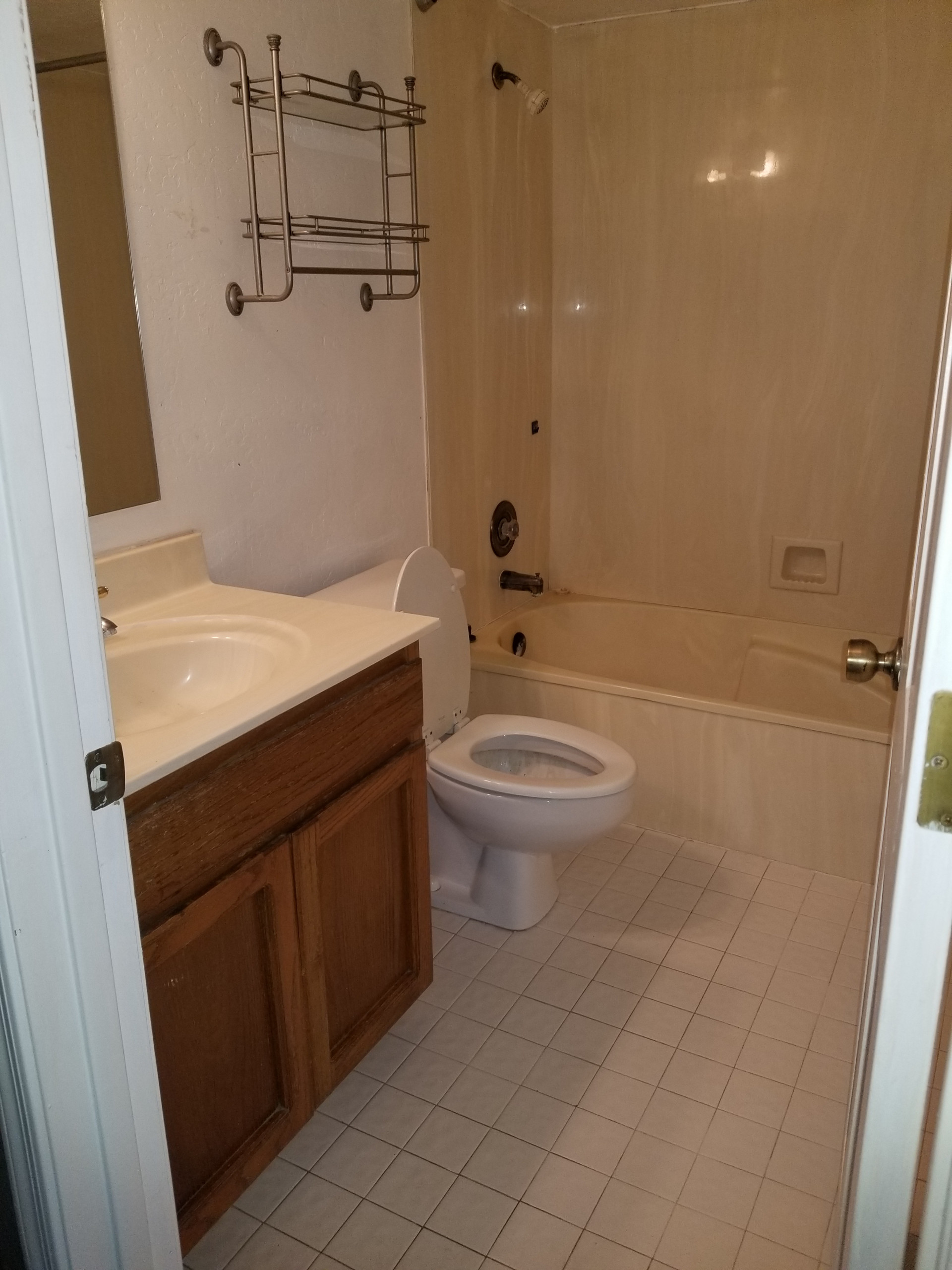 Whole House Remodel