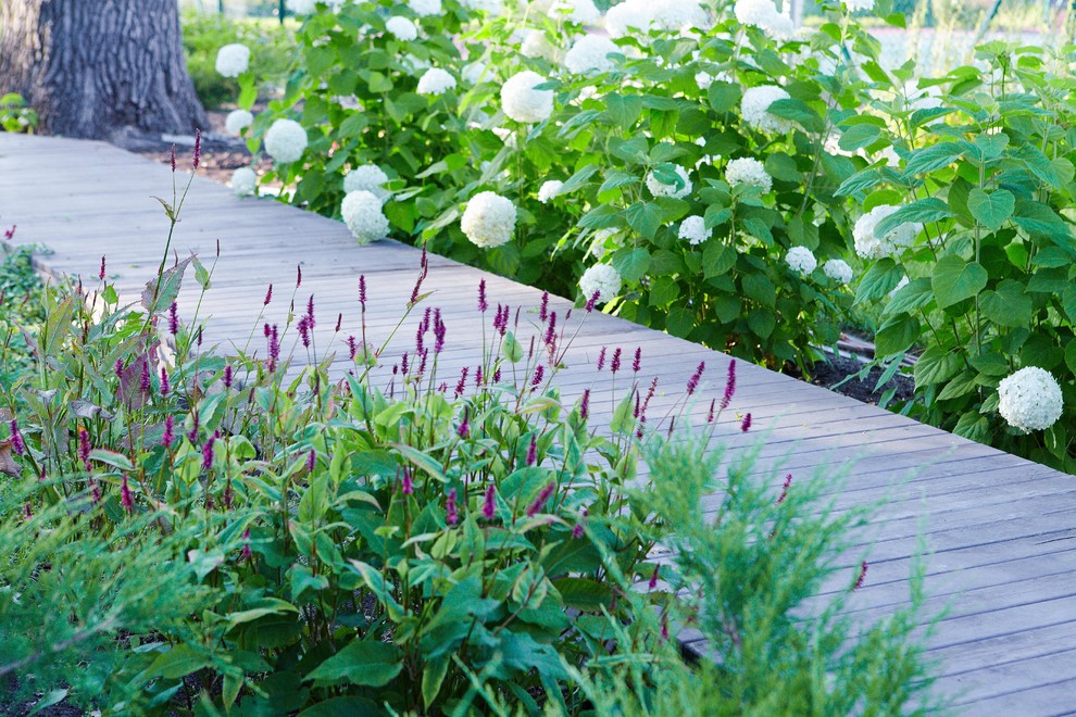 Прогулка в дубах