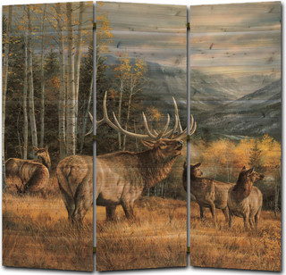 55 x55