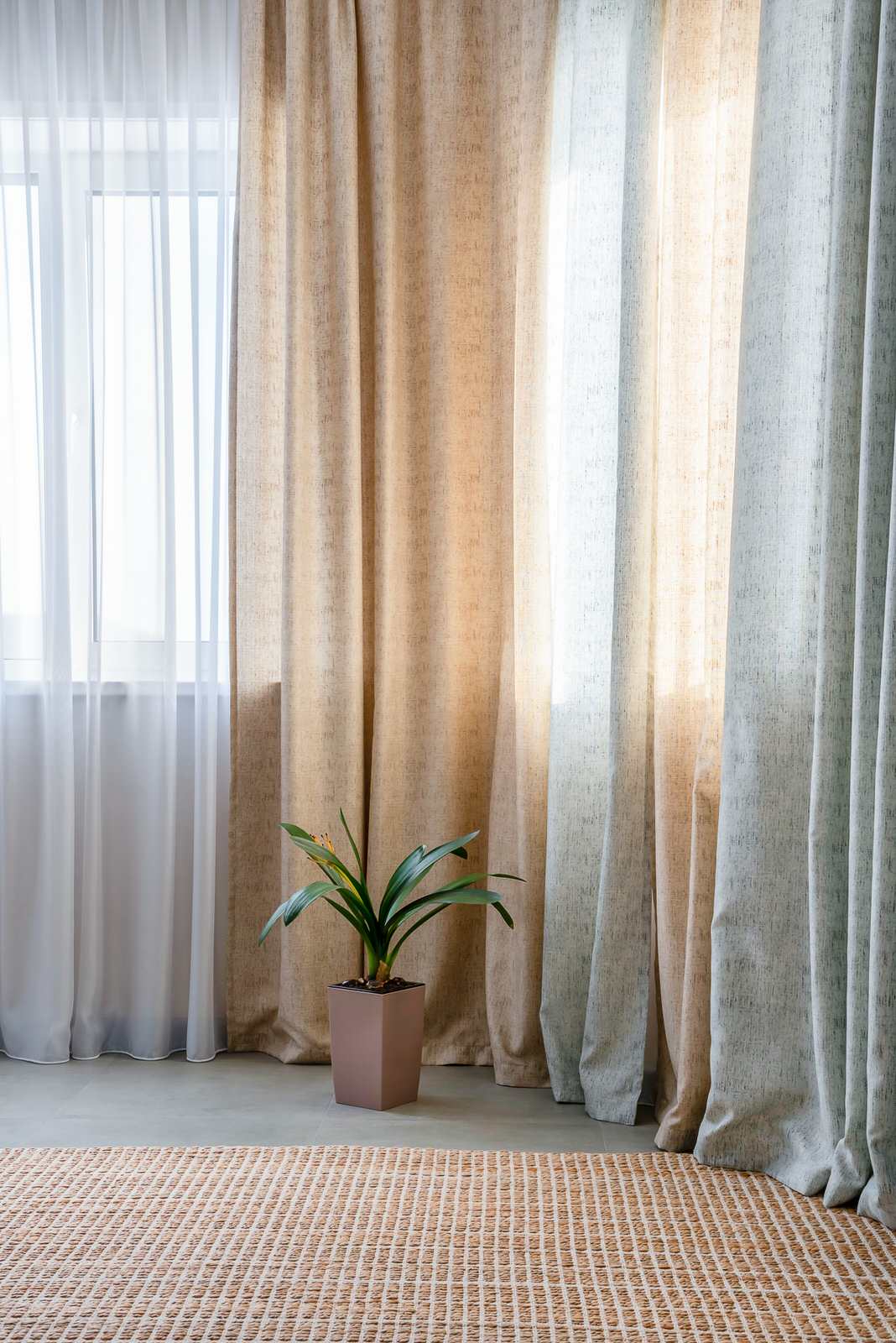 Дом с ирисом