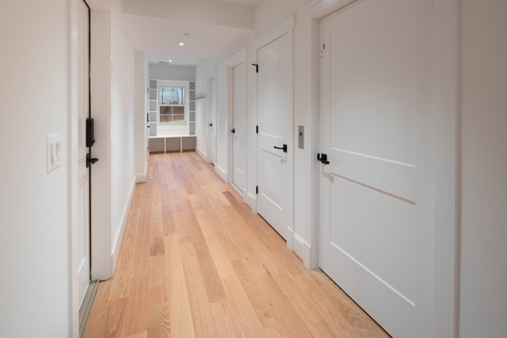 Design ideas for a traditional look-out basement in DC Metro with white walls, light hardwood flooring and brown floors.