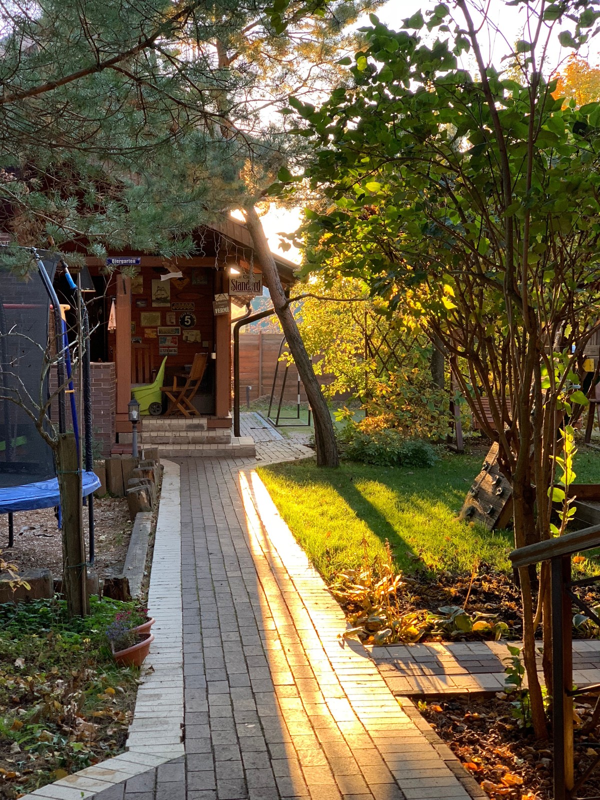 Буйство красочных форм в осеннем саду