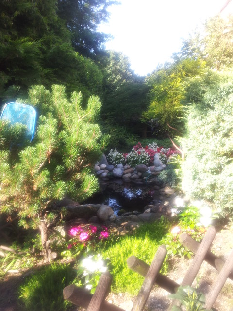 ESTERNI shabby-chic-style-garten
