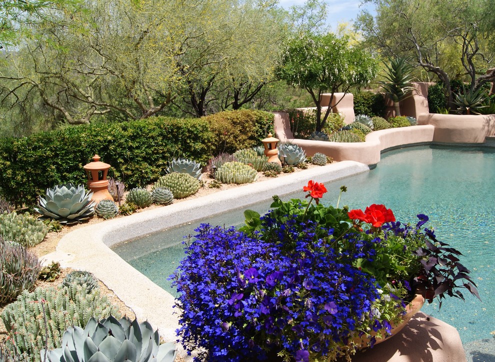 Large backyard pool in Phoenix with a hot tub and concrete pavers.