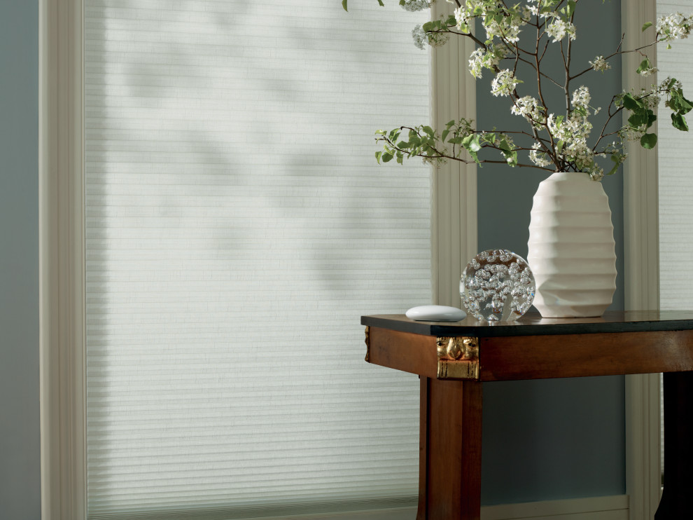 2021 Projects, Hunter Douglas Shades, Blinds, Room Darkening, Photos
