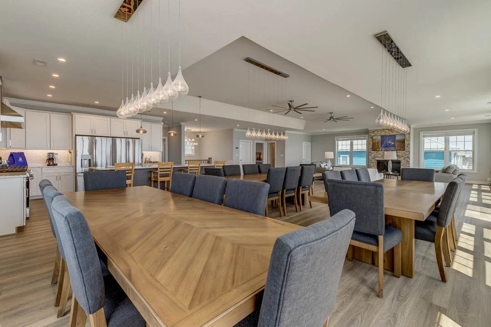 Dolphin Watch (2023)