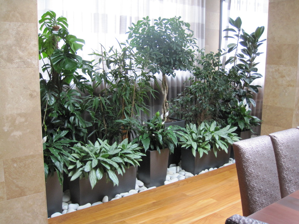 Зимние сады