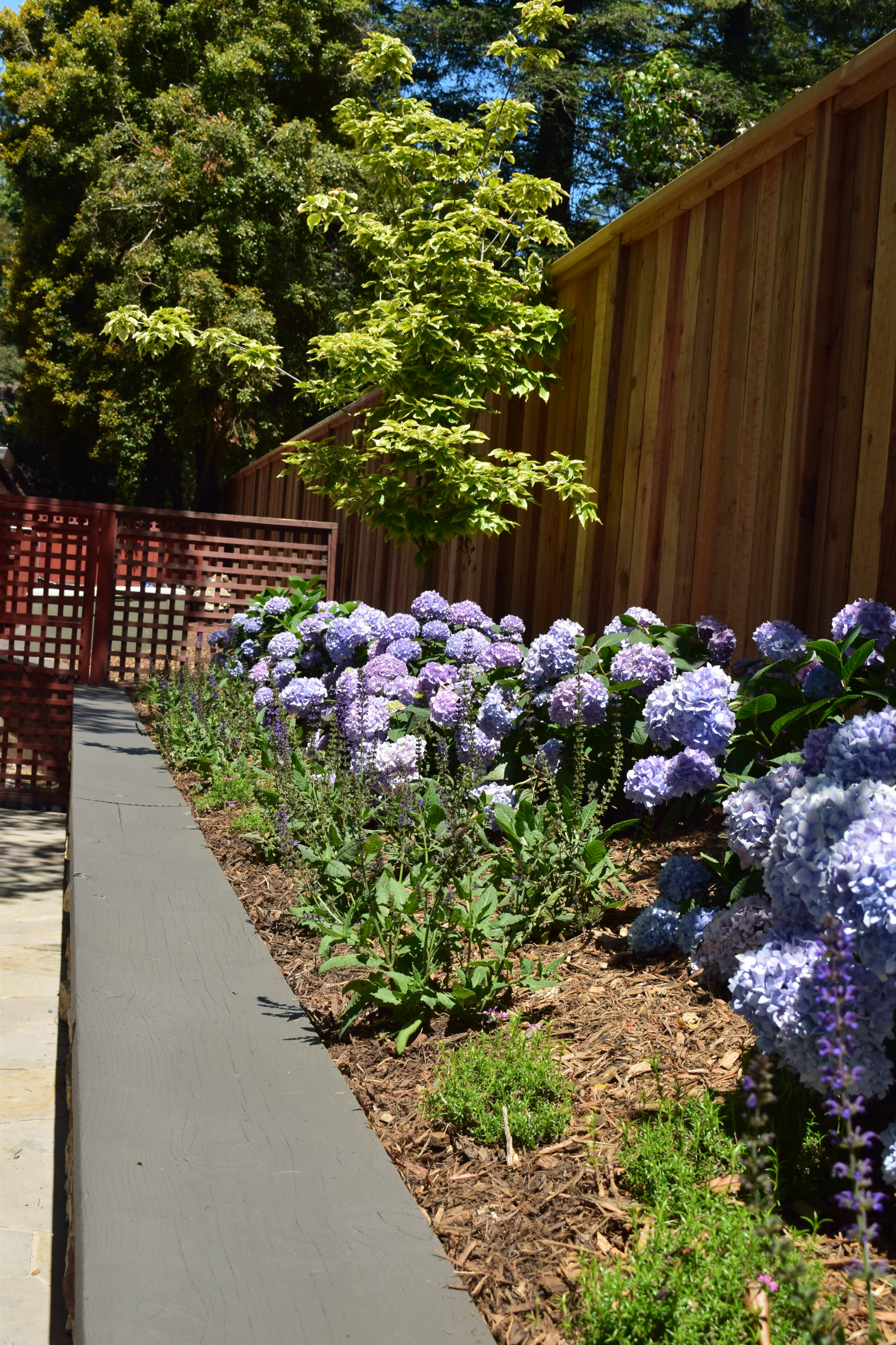 Spacious Garden with patio and lawn