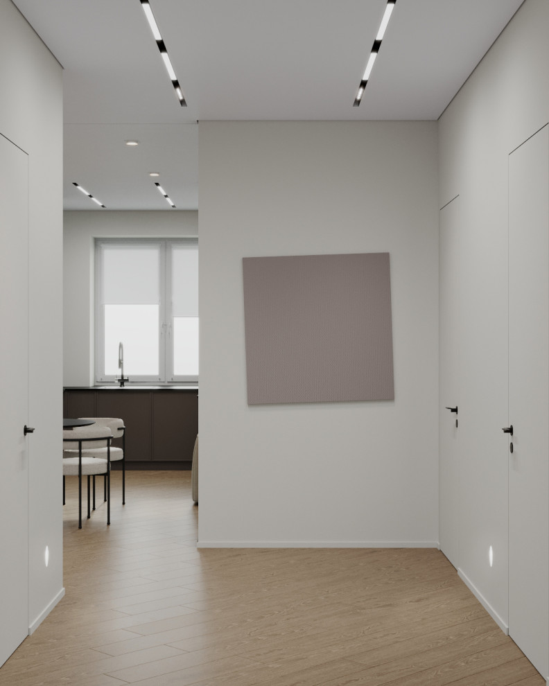 Проект квартиры для двоих. г.Брянск