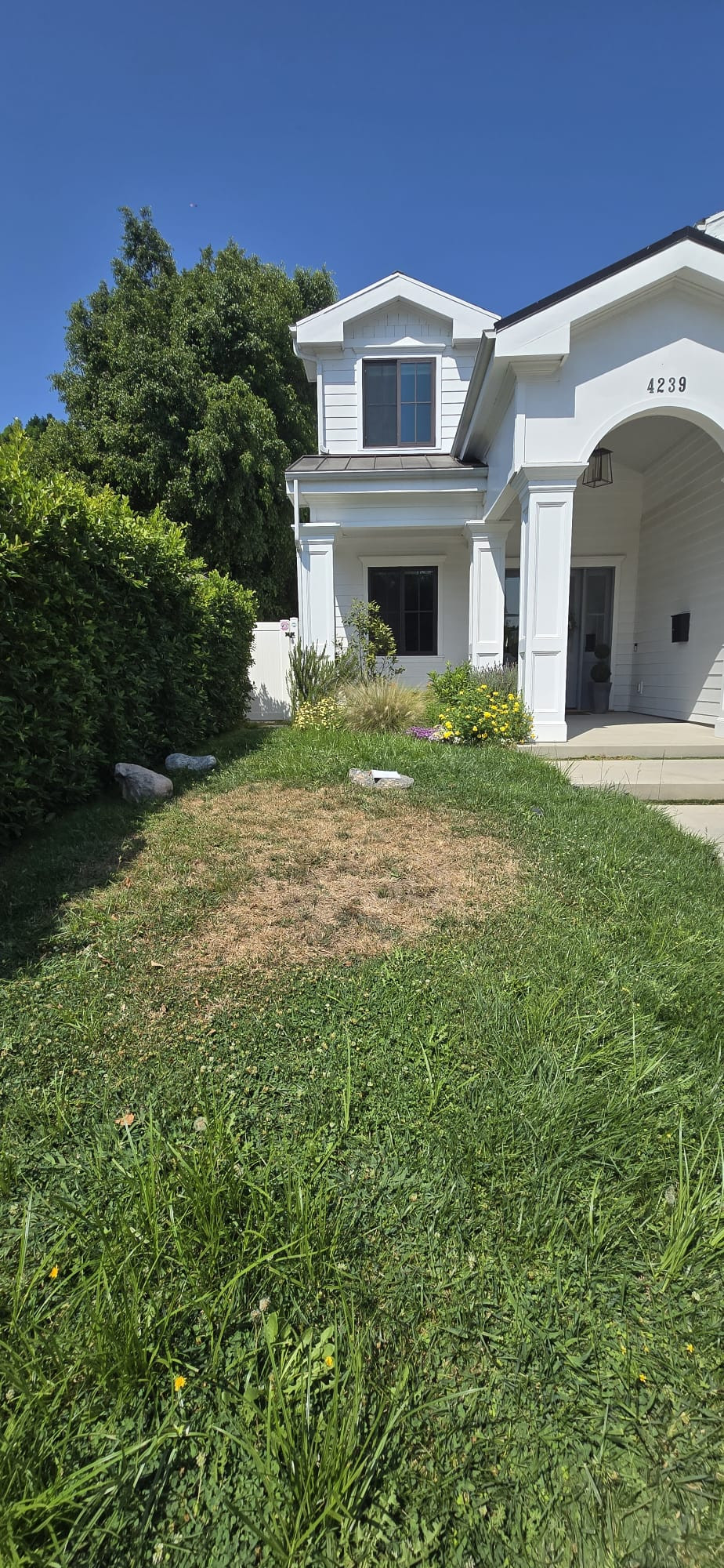 the Dry Riverbed Project