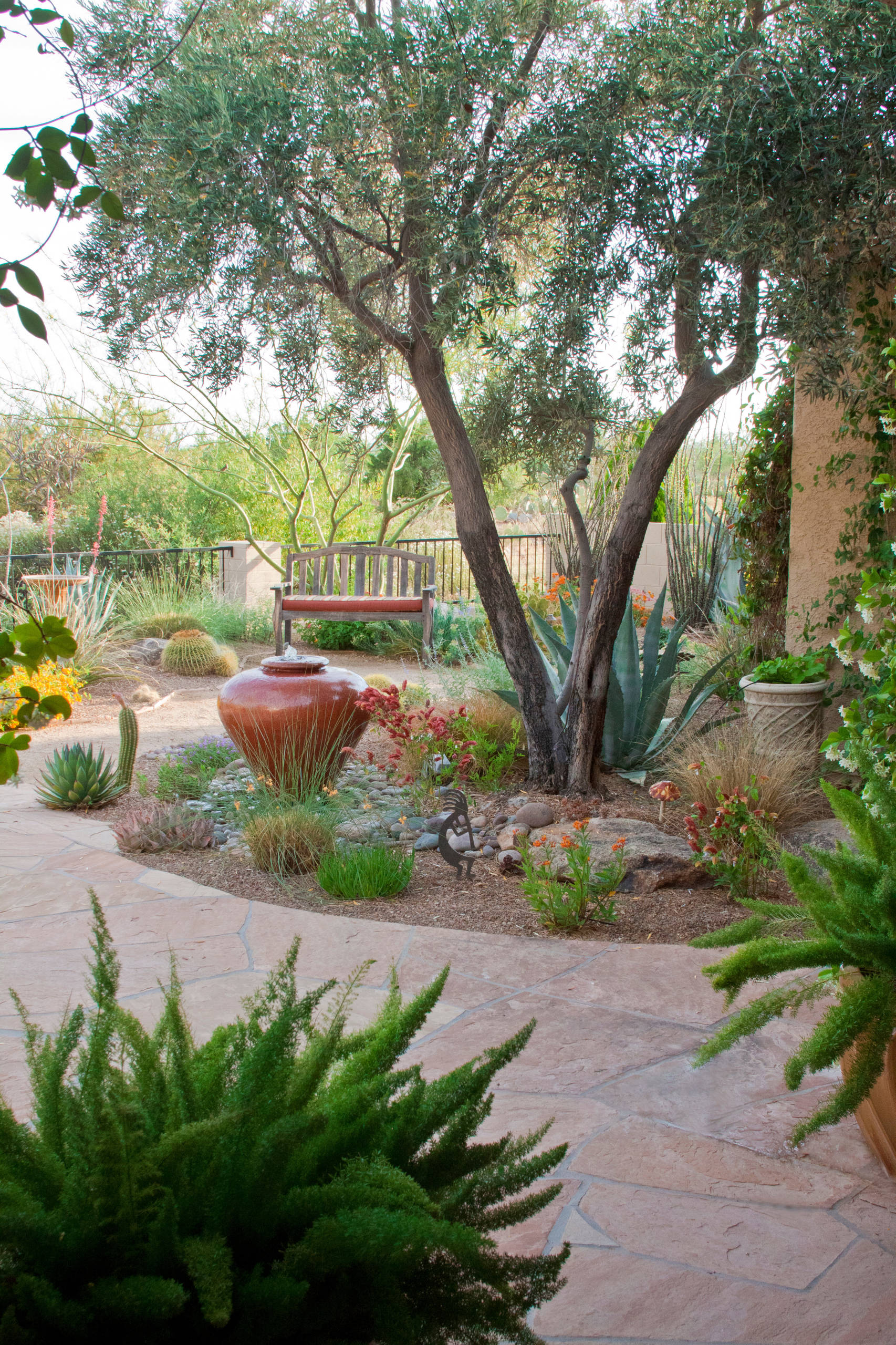 Desert Pollinator Garden Design
