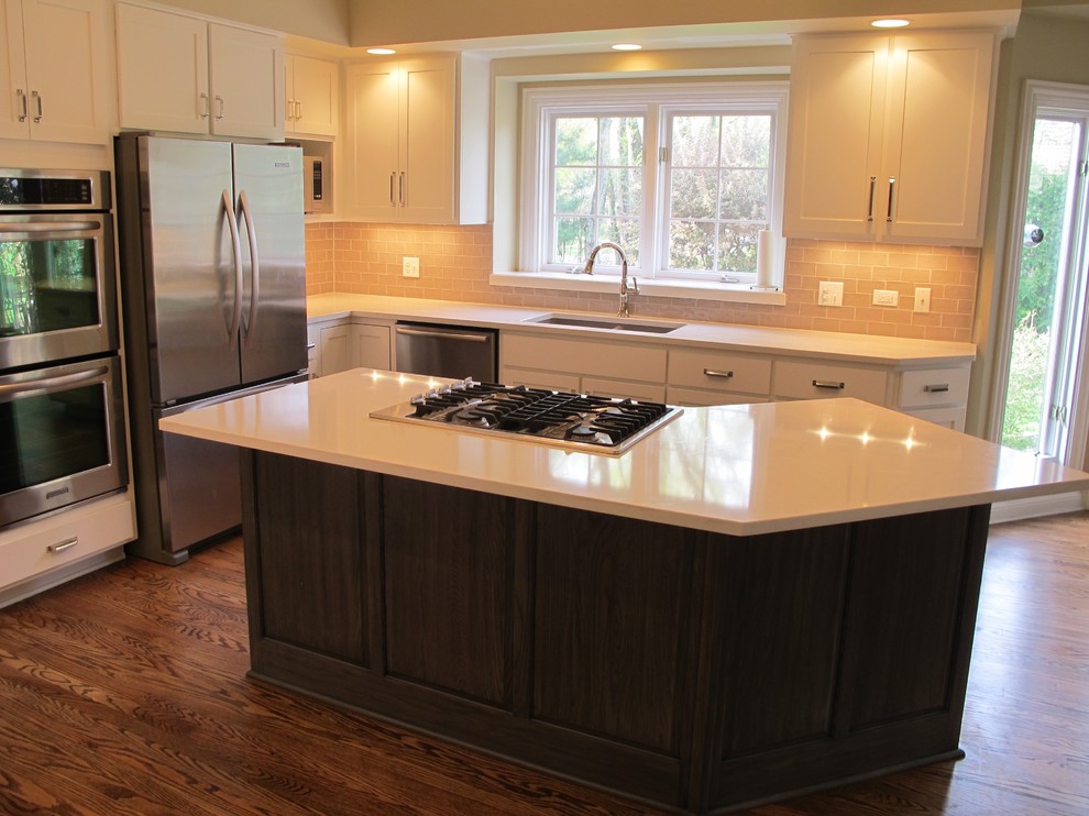 Transitional kitchen photo in Chicago