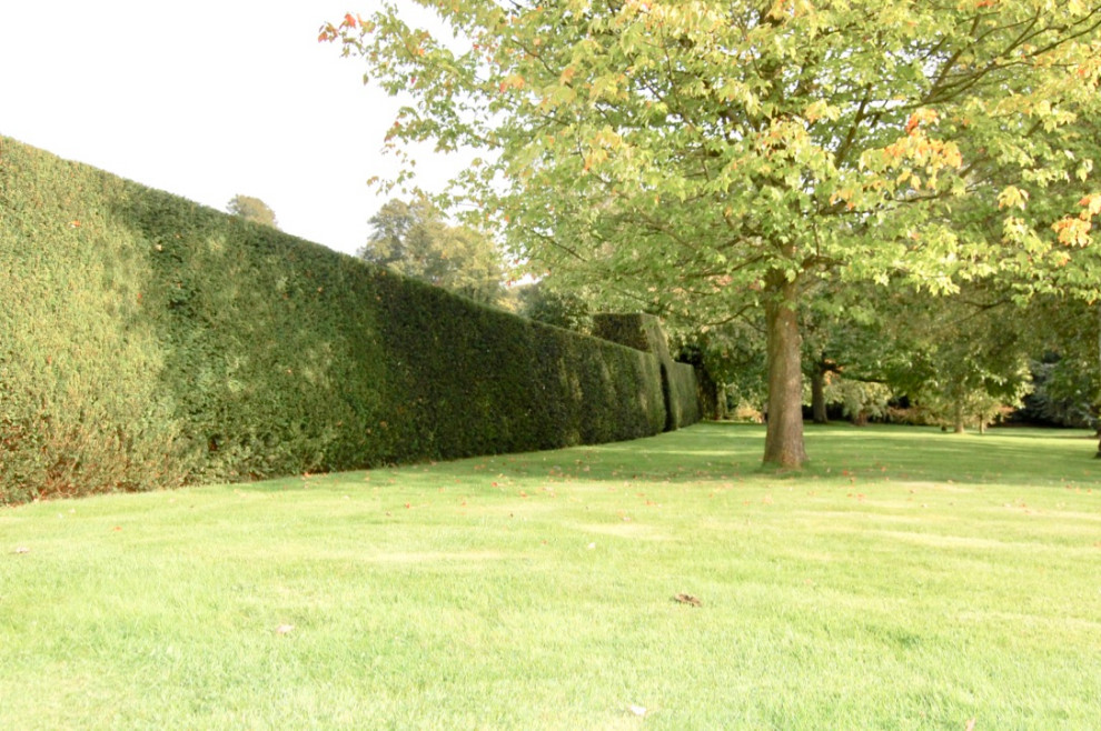 This is an example of a classic garden in Hampshire.