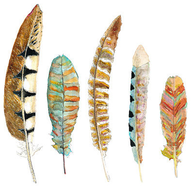Feather Watercolor by Snoogs & Wilde