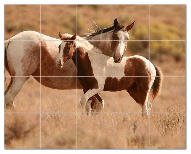 Horse Ceramic Tile Mural Kitchen Backsplash Bathroom Shower 402830 Contemporary Tile Murals By Picture Tiles