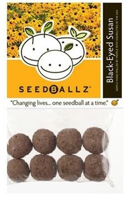 Seedballz Black-eyed Susan, 8 Pack