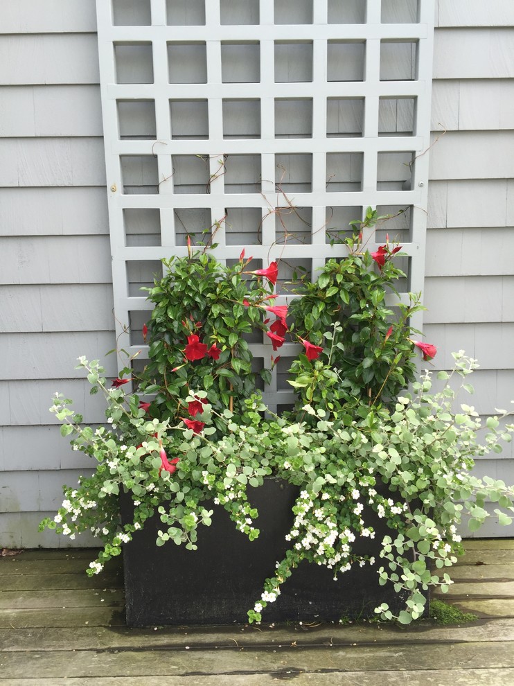 This is an example of a traditional landscaping in Portland Maine with decking.