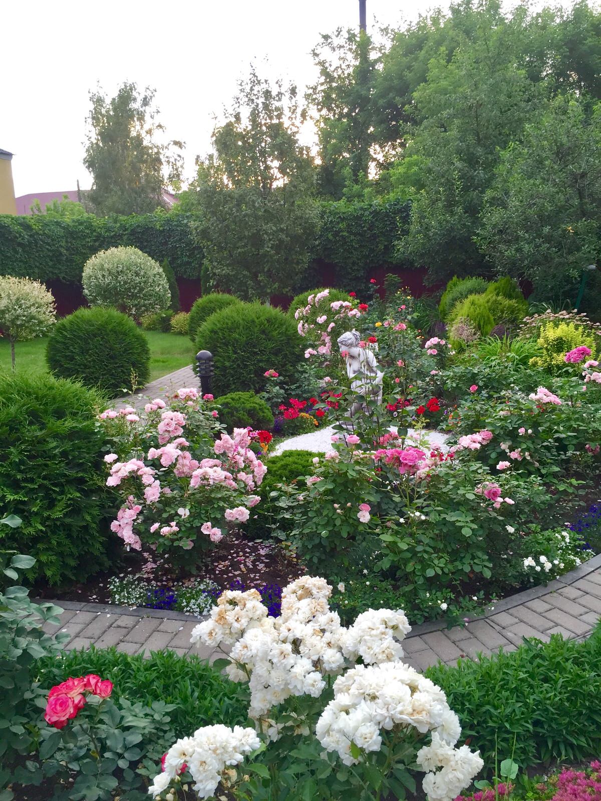 «Сад созерцания»