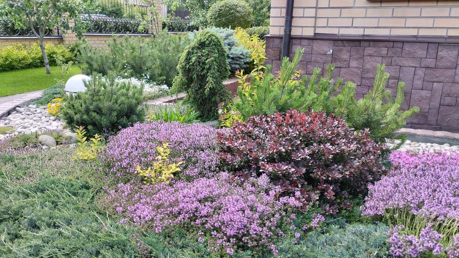 Сиреневый дождь