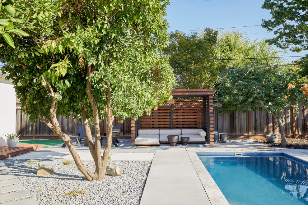 Foto di un giardino xeriscape moderno esposto a mezz'ombra di medie dimensioni e dietro casa con pavimentazioni in cemento e recinzione in legno