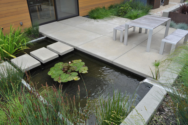 Sunol Landscape trendy-have